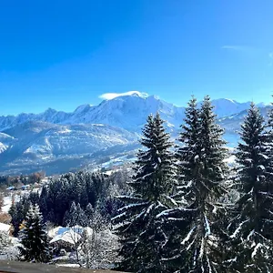 Large Apt 80m Superb View Mont-blanc 6p Appartement Combloux
